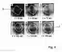 Fig. 06 - Method and apparatus for controlled manufacturing of nanometer-scale apertures