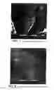 Fig. 02 - Expanded graphite and products produced therefrom