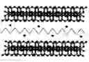 Fig. 01 - Polymer nanocomposites for lithium battery applications