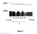 Fig. 04 - Phosphorescent light-emitting component comprising organic layers