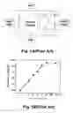 Fig. 02 - Method of forming ESD protection device with thick poly film