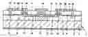 Fig. 01 - Electronic device comprising a field effect transistor for high-frequency applications