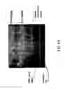 Fig. 05 - Robust leaded molded packages and methods for forming the same
