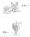 Fig. 03 - Scooter Bike