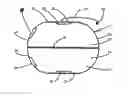 Fig. 01 - Leaf crushing, carrying and pouring device