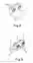 Fig. 07 - Folding closure for cargo containers