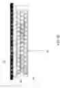 Fig. 04 - Field emission light source and method for operating the same