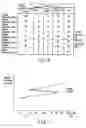Fig. 06 - Information processing apparatus and luminance adjusting method