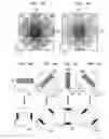Fig. 04 - Magnetic resonance imaging method and apparatus