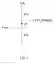 Fig. 02 - Control circuit for command signals of clock generator