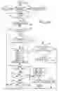 Fig. 17 - Apparatus and method for synchronizing visual/audible alarm units in an alarm system