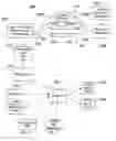 Fig. 01 - Microwave detection system and method