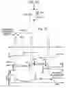 Fig. 44 - Active matrix-type liquid crystal display device