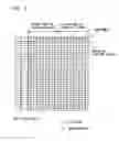 Fig. 02 - Display device, driving method of the display device, and electronic device