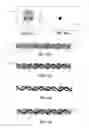 Fig. 04 - Object identifying system for segmenting unreconstructed data in image tomography