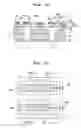 Fig. 19 - Liquid transporting apparatus and method of producing liquid transporting apparatus