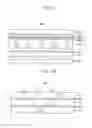 Fig. 06 - Optical member, method of manufacturing the same and display device having the same