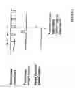 Fig. 03 - Method of low intensity lighting for high speed image capture
