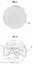 Fig. 03 - Bright-field light source for fluorescence observation and surgical microscope with bright-field light source