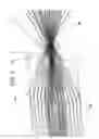 Fig. 09 - Micro-lens sheet and projection screen