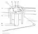 Fig. 01 - Fan for ventilating electrical and electronic equipment