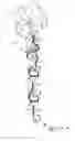 Fig. 01 - Hanging decorative lights