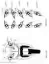 Fig. 09 - Vehicular lighting system