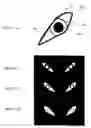 Fig. 11 - Vehicular lighting system