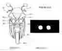 Fig. 12 - Vehicular lighting system