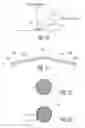 Fig. 07 - Efficient luminaire with directional side-light extraction