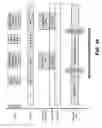 Fig. 34 - Method for non-volatile memory with background data latch caching during erase operations