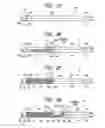 Fig. 13 - Optical information recording apparatus and method