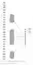 Fig. 64 - Storage medium, reproducing method, and recording method