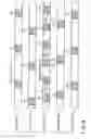 Fig. 72 - Storage medium, reproducing method, and recording method