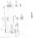 Fig. 22 - Latency measurement apparatus and method