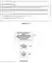 Fig. 03 - Policy-based processing of packets
