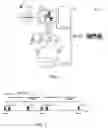 Fig. 02 - Synchronized audio/video decoding for network devices