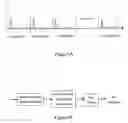 Fig. 03 - Method and apparatus for cell search in a W-CDMA system