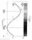 Fig. 02 - Tri-state pulse density modulator