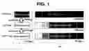 Fig. 02 - Method and apparatus for encoding, transmitting, and decoding a video signal