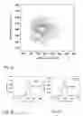 Fig. 03 - Laser x-ray source apparatus and target used therefore