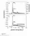 Fig. 05 - Laser x-ray source apparatus and target used therefore