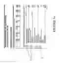 Fig. 06 - Systems and methods for generating bills