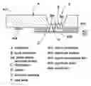 Fig. 01 - Sound detecting mechanism