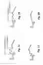 Fig. 03 - Loudspeaker including a cone circumscribed by a stiffener