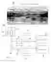 Fig. 03 - Method and system for the metrological detection of differences in the visually perceived color impression between a multicolored patterned surface of a reference and a multicolored patterned surface of a specimen