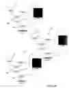 Fig. 11 - Visually encoding nodes representing stages in a multi-stage video compositing operation