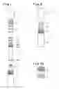 Fig. 02 - Dispenser stick