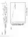 Fig. 02 - Durable catalyst for processing carbonaceous fuel, and the method of making