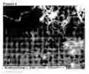 Fig. 07 - Nanotube/metal substrate composites and methods for producing such composites